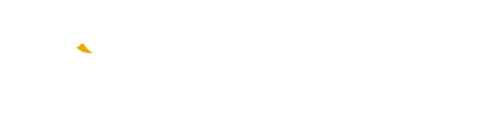 gowego-logo gowego-logo